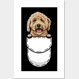 Funny Labradoodle Pocket Dog Posters and Art